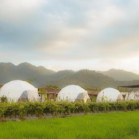 Borobudur Luxury Glamping マゲラン エクステリア 写真