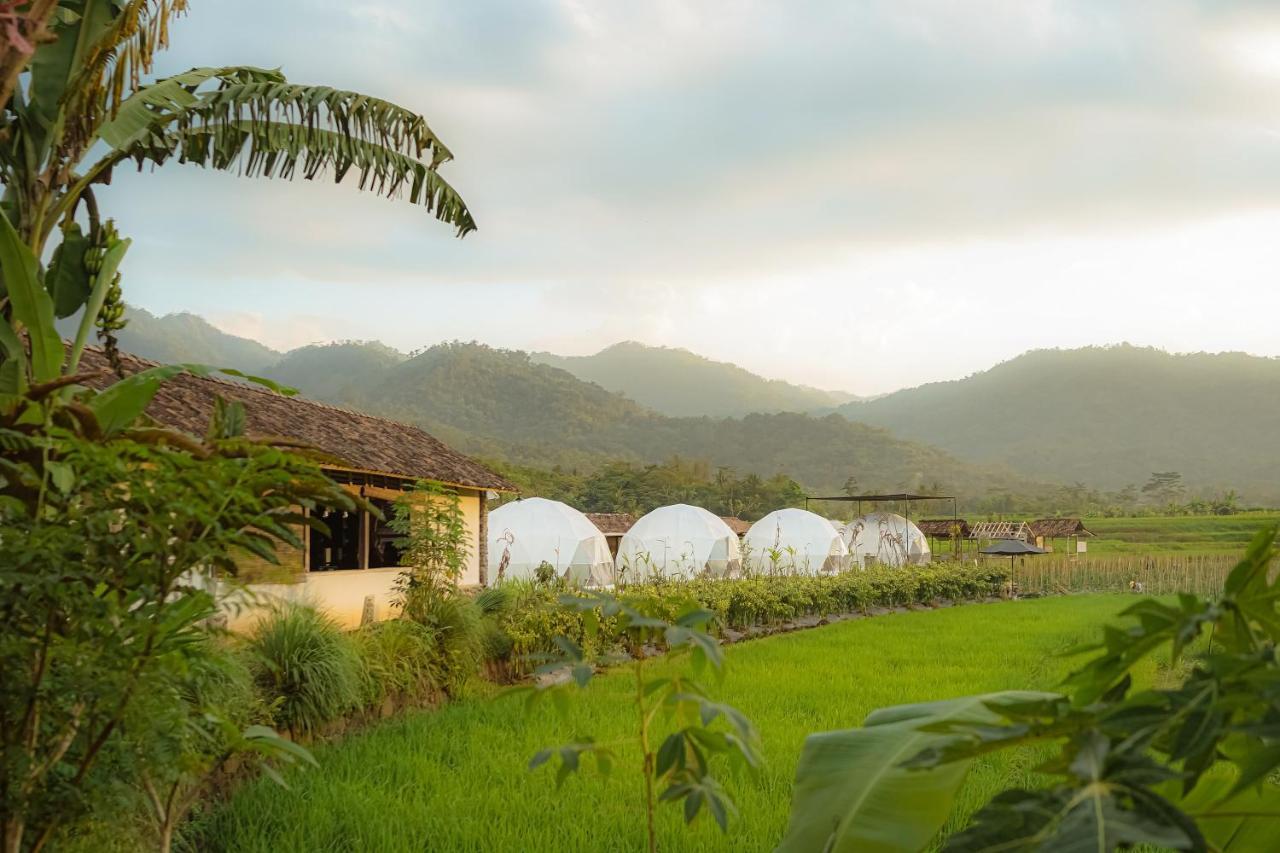 Borobudur Luxury Glamping マゲラン エクステリア 写真