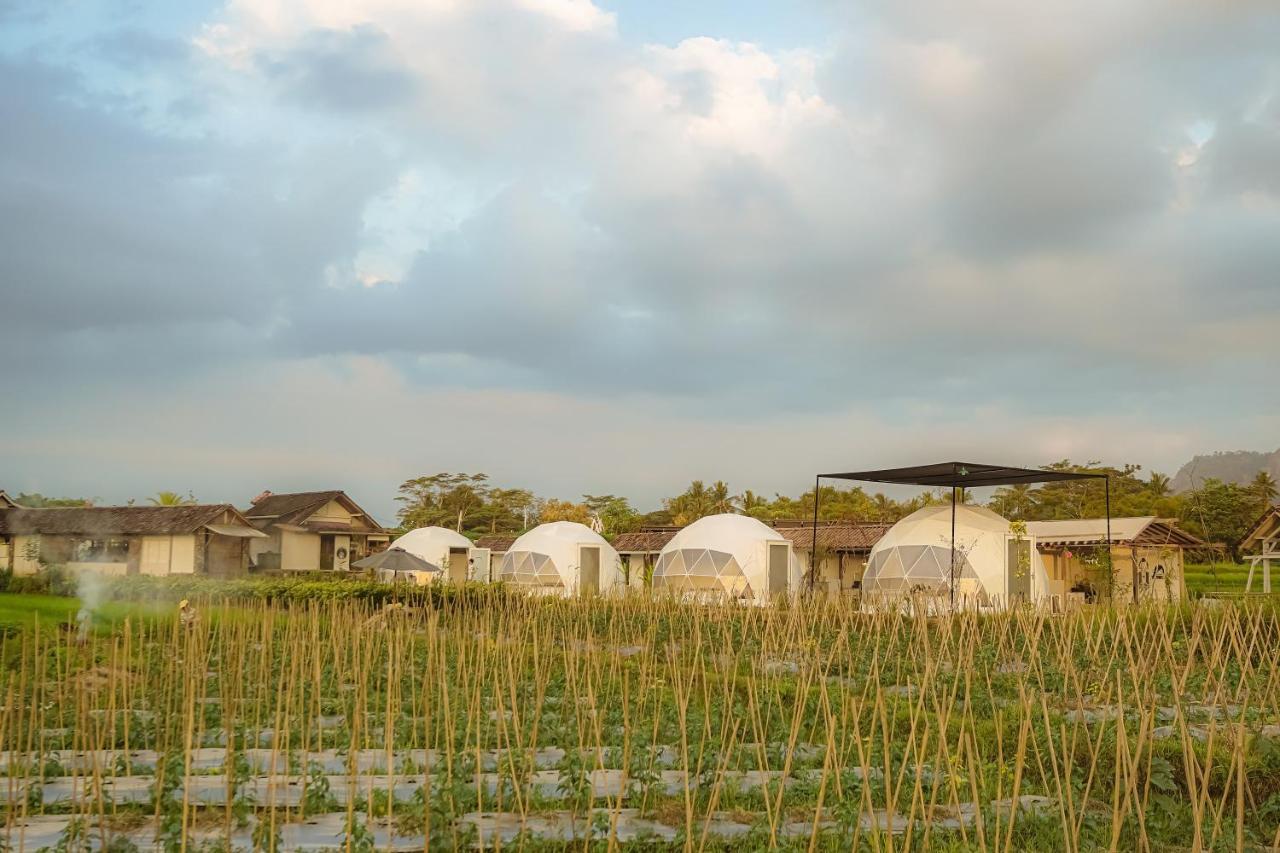 Borobudur Luxury Glamping マゲラン エクステリア 写真