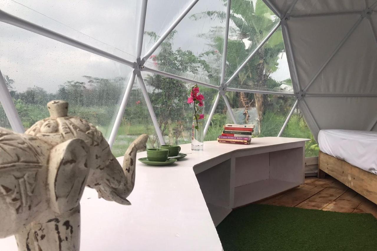 Borobudur Luxury Glamping マゲラン エクステリア 写真