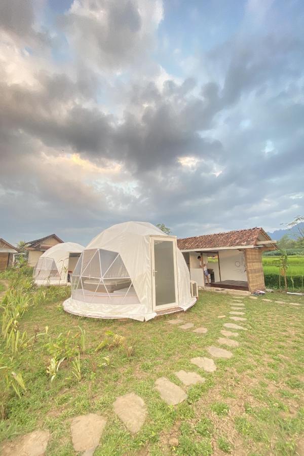 Borobudur Luxury Glamping マゲラン エクステリア 写真